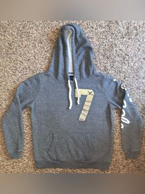American Eagle Outfitters Gray Hoodie with White Logo Embroidery